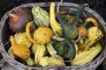 Pumpkins on the basket