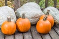 Pumpkins and blue hubbard squash Royalty Free Stock Photo