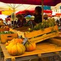 Pumpkins booth at Saturday market Bretenoux France