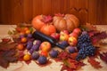 Pumpkins, bottle of red wine, colorful autumn maple leaves and fresh fruits on wooden table. Selective focus Royalty Free Stock Photo