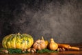 Pumpkins, butternut squash and mushrooms with rolling pin on a table over a vintage background with copy space