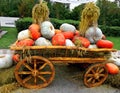 Pumpkins on a cart Royalty Free Stock Photo