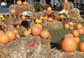 Pumpkins, chrysanthemums and hay bales on a green meadow Royalty Free Stock Photo