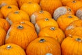 Pumpkins Closeup Many Group Multiple Background Texture Orange H