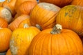 Pumpkins Closeup Many Group Multiple Background Texture Orange H