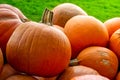 Pumpkins Closeup Many Group Multiple Background Texture Orange H