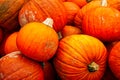 Pumpkins Closeup Many Group Multiple Background Texture Orange H