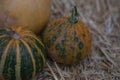 Pumpkins collection on hay. Autumn harvest. Fall decorations, autumn celebration, postcard and poster background. Royalty Free Stock Photo