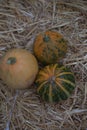 Pumpkins collection on hay. Autumn harvest. Fall decorations, autumn celebration, postcard and poster background. Royalty Free Stock Photo