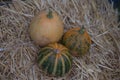 Pumpkins collection on hay. Autumn harvest. Fall decorations, autumn celebration, postcard and poster background. Royalty Free Stock Photo