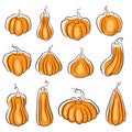 Pumpkins collection in line art style. Design for Thanksgiving day, Halloween or Autumn Concept. Vector illustration Royalty Free Stock Photo