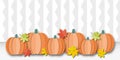 Pumpkins with colourful leaves on white abstract background. Autumn or Thanksgiving. Royalty Free Stock Photo