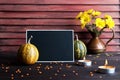 Pumpkins,copper jug with yellow chrysanthemums Royalty Free Stock Photo