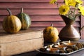 Pumpkins,copper jug with yellow chrysanthemums Royalty Free Stock Photo