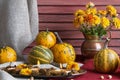 Pumpkins,copper jug with yellow chrysanthemums Royalty Free Stock Photo