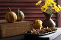 Pumpkins,copper jug with yellow chrysanthemums Royalty Free Stock Photo