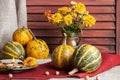 Pumpkins, copper jug with yellow chrysanthemums Royalty Free Stock Photo