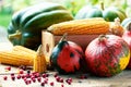 Pumpkins, corn and cranberry berries Royalty Free Stock Photo