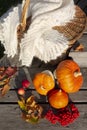 Pumpkins, crab apples, colorful maple leaves and rowanberry near wicker basket with knitted shawl.