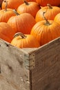 Pumpkins in a Crate Royalty Free Stock Photo