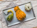 Pumpkins of crazy shapes on a silver tray