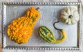 Pumpkins of crazy shapes on a silver tray