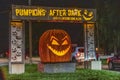 Pumpkins After Dark 1