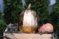 Pumpkins decorated for the holiday. Halloween preparation, rustic style