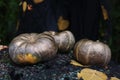 Pumpkins decorated for the holiday. Halloween preparation, rustic style