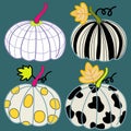 Pumpkins deign set with graphic pattern on four pumpkin drawing autumn and fall leaves hand drawn art vector Royalty Free Stock Photo