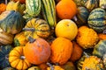 Pumpkins of different colors and shapes in a heap