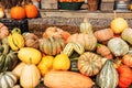 Pumpkins of different shapes and colors in wooden boxes. autumn seasonal work, harvesting Royalty Free Stock Photo