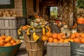 Pumpkins of different shapes and colors in wooden boxes. autumn seasonal work, Royalty Free Stock Photo