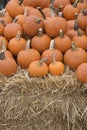 Pumpkins on display at the Farmstand Royalty Free Stock Photo