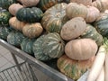 Pumpkins on display in a market stall. Royalty Free Stock Photo