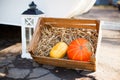 Pumpkins in a drawer, beautiful decoration for the celebration.