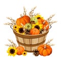 Pumpkins and sunflowers in a wooden bucket. Autumn harvest. Vector illustration Royalty Free Stock Photo