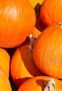 Pumpkins on a Fall day in Groton, Massachusetts, Middlesex County, United States. New England Fall. Royalty Free Stock Photo