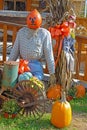 Pumpkins at a fall festival. Royalty Free Stock Photo