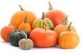 Pumpkins family Royalty Free Stock Photo