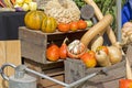 Pumpkins at a Farmers Market