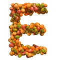 Pumpkins font, letter E from squashes. 3D rendering