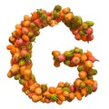 Pumpkins font, letter G from squashes. 3D rendering