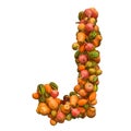 Pumpkins font, letter J from squashes. 3D rendering