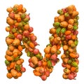 Pumpkins font, letter M from squashes. 3D rendering