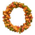 Pumpkins font, letter O from squashes. 3D rendering