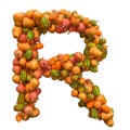 Pumpkins font, letter R from squashes. 3D rendering