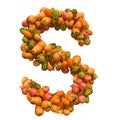 Pumpkins font, letter S from squashes. 3D rendering