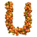 Pumpkins font, letter U from squashes. 3D rendering