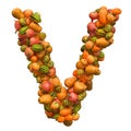 Pumpkins font, letter V from squashes. 3D rendering